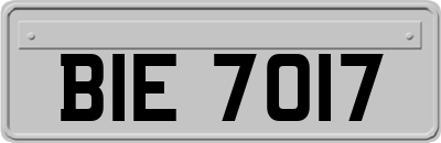 BIE7017