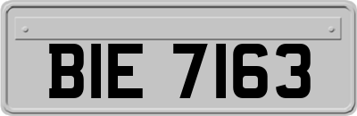 BIE7163