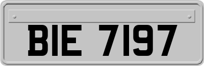BIE7197