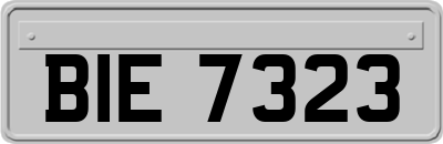 BIE7323