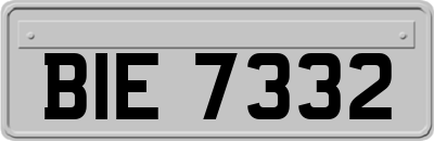 BIE7332