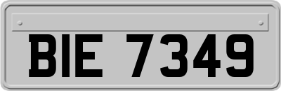 BIE7349