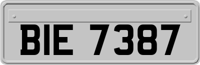 BIE7387