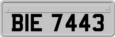 BIE7443