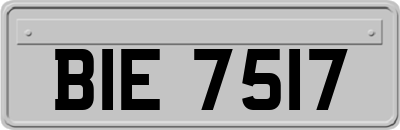 BIE7517
