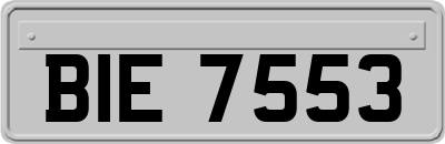 BIE7553