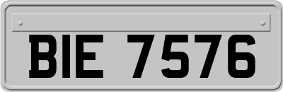 BIE7576