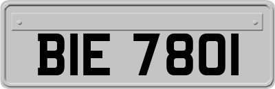 BIE7801