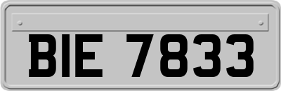 BIE7833