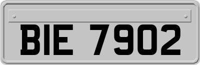 BIE7902