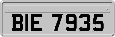 BIE7935
