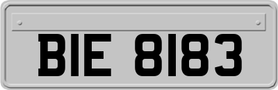 BIE8183