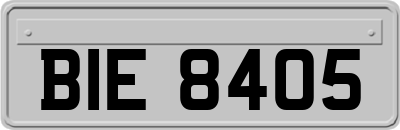 BIE8405