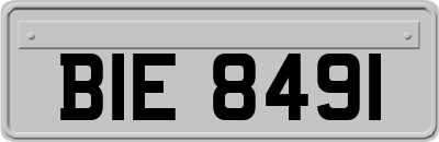 BIE8491