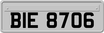 BIE8706
