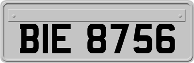 BIE8756