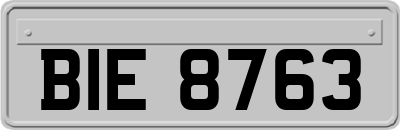 BIE8763