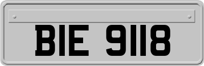 BIE9118