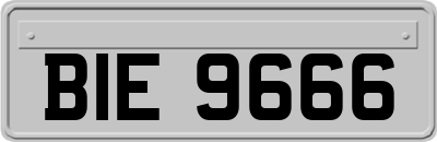 BIE9666