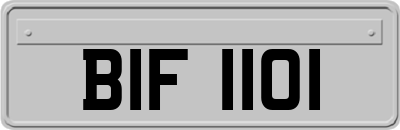 BIF1101