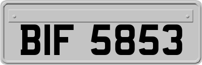 BIF5853