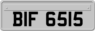 BIF6515