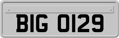 BIG0129