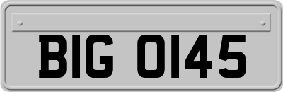 BIG0145