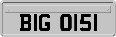 BIG0151