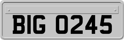 BIG0245