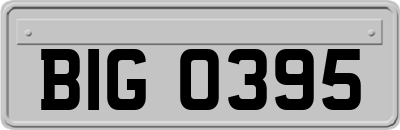 BIG0395
