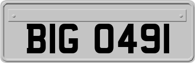 BIG0491