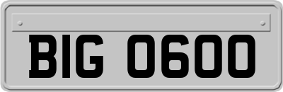 BIG0600