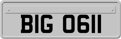 BIG0611