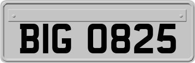 BIG0825