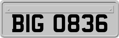 BIG0836