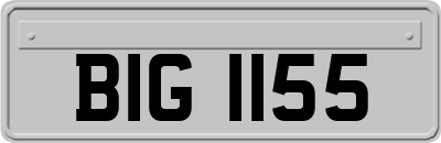 BIG1155
