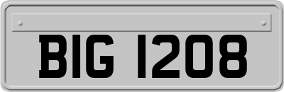 BIG1208