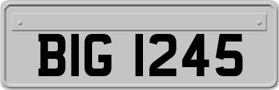 BIG1245
