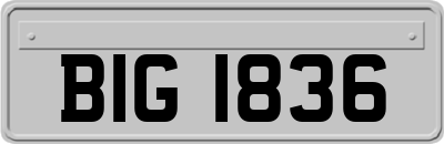 BIG1836