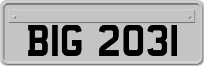 BIG2031