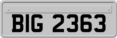 BIG2363