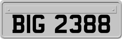 BIG2388