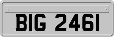 BIG2461