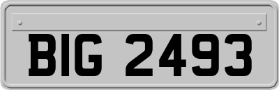BIG2493