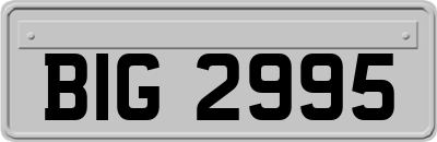 BIG2995