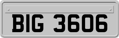 BIG3606