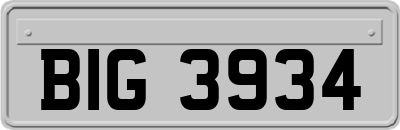 BIG3934