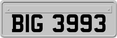 BIG3993