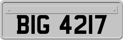 BIG4217